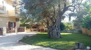 To Agridi - Image 3