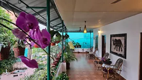 Silverweed homestay - Image 2
