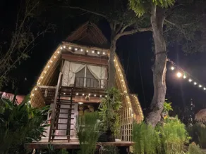 The Frog Cabana Resort - Image 2