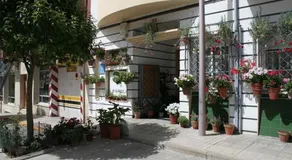 Parque - Image 4