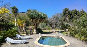 Finca Las Canitas - Ferienhaus Teneriffa - Image 4