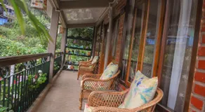 Roots Shoots & Beds - Image 5