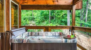 Smoky Ridge - Stunning Mountain Views, Hot Tub, Fire Pit, Gigabit Internet, Exceptional Cabin - Image 2