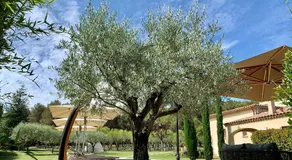 Le Jardin des Amandiers - Image 3