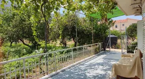 The Lemon House - Image 5