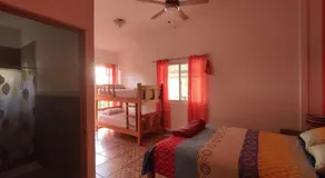 Rainforest Lodge del Rio - Image 2