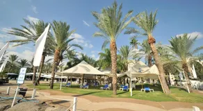 Tiberias Suite 411 - Image 4