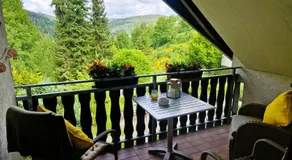 Ferienwohnung in Triberg am Waldrand - idyllisch, ruhig, erholsam - Image 3
