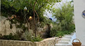 Despertar - Image 5