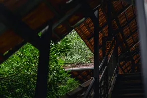 Jathikka Homestay - Image 2