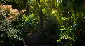 Albert Road Garden Guest House - Image 3