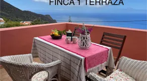 Finca La Calzada - Image 5