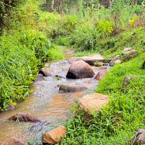 Punarvasu Homestay - Image 2