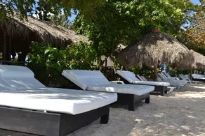 Paraiso Ecolodge - Image 3