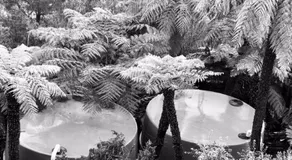 Cloud View Garden - Image 5