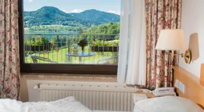 Hotel Seehof - Image 2