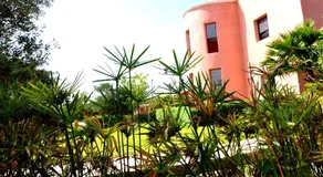 Riad Hamdani - Image 4