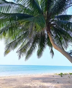 Seaside Studio Thailand - Rayong - VIP CONDOCHAIN - Image 4