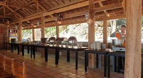Wild Beach Boutique Resort - Image 5
