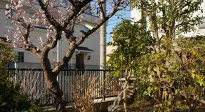Shimokitazawa Akima - Image 2