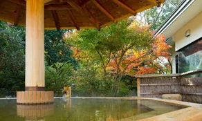 Yunoyama Onsen Yumoto Green Hotel - Image 3