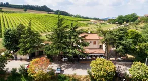Agriturismo Gli Ulivi - Image 4