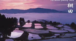 レストロヴェスト - Image 4