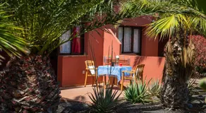 El Jasmine - Image 3