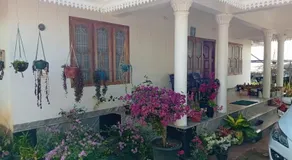 Moon moon Garden - Image 5