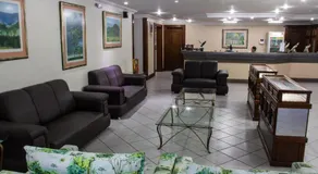 Hotel das Palmeiras - Image 5