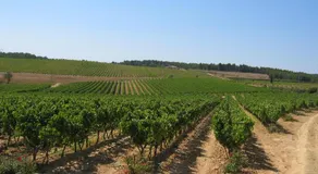 Domaine du Coffre - Image 5