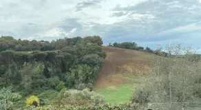 Appartamento nel verde fronte ospedale San Pietro, Sant'Andrea - Image 4