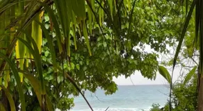 KAZ DIBWA Beach House - Image 5
