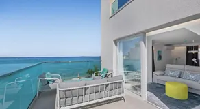 Feelathome Tortuga de Mar - Image 3
