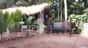 Tendulkar Beach Resort - Image 5