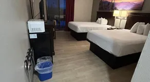Park Inn - Image 2