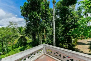 Home 22578 Forest View 2BHK - Image 5