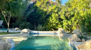 Tropical Oasis - Image 2