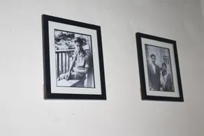 The Bicknell's Nest - Image 5