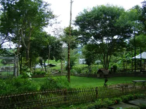 BaanNumhoo Homestay Resort & Camping - Image 5