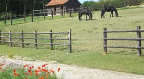 Ferme des tilleuls - Image 3