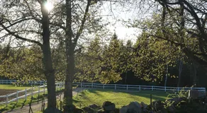 Söderåsens Forsgård - Image 3