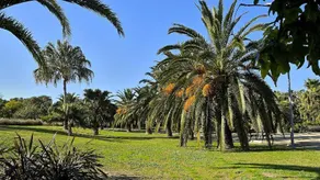 Stay In Brisas del Sur - Image 5