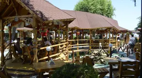Vila II Poieniţa - Image 5