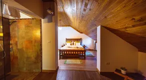 Conacul Sanct Gurgh - Image 4