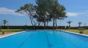 Guardamar playa - Image 3