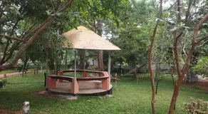 Peninsular wood Resort - Image 5