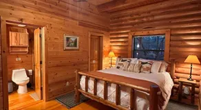 Forest Cabin Retreat - Near Tonto Bridge 5BR - Image 2