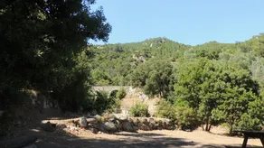 LOrtu di Pisettu - 1 - Image 5