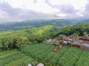 Pondok Nyoman Bedugul by AGATA - Image 4